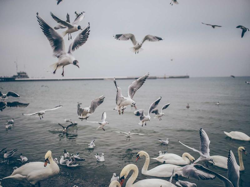 sudoku strategy guide screenshot 5